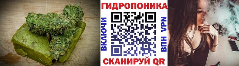как найти   Афипский  Еда ТГК конопля 
