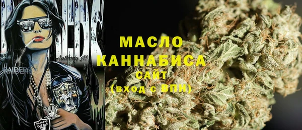 тгк Гусь-Хрустальный
