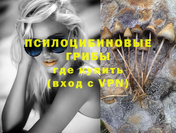 мет Гусев