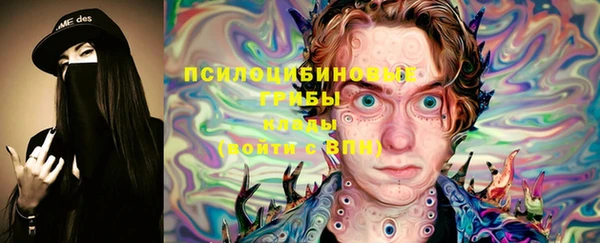 МДПВ Гусиноозёрск