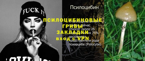 МДПВ Гусиноозёрск